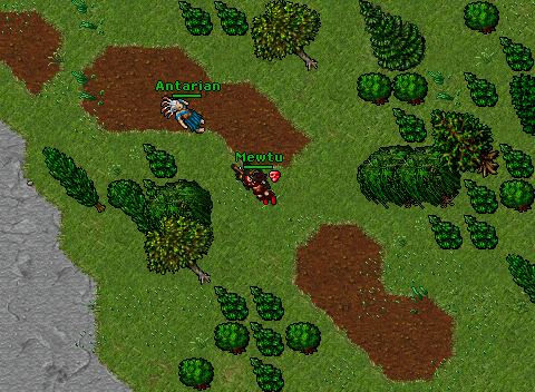 Antarian dead 2