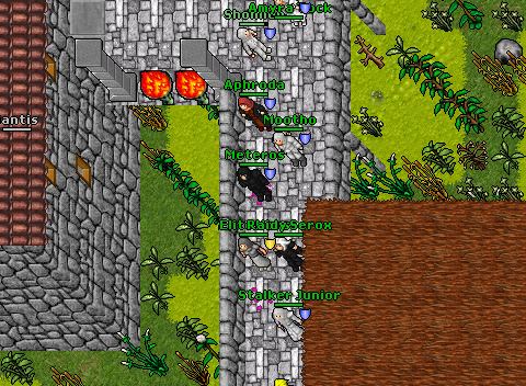 Aurea fight 33