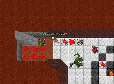 Mad mage - dragonmaster