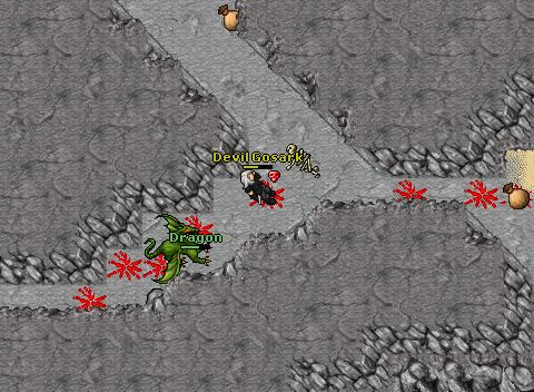 Hunt 1