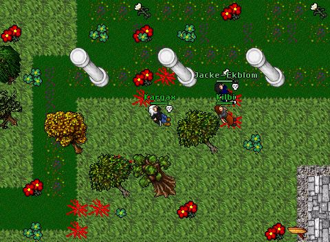Nova fight xdd