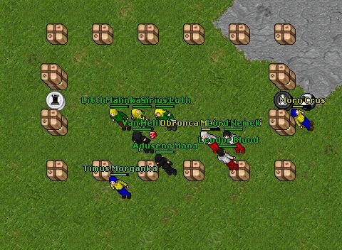 Noob team