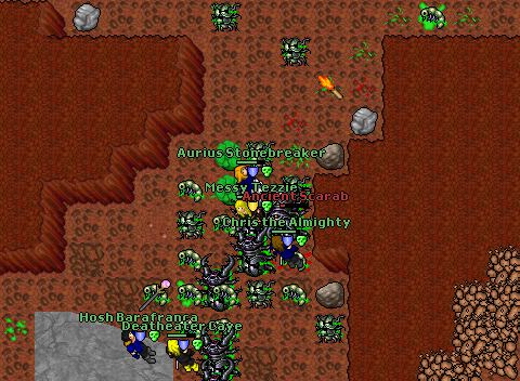 Ancient Scarabs
