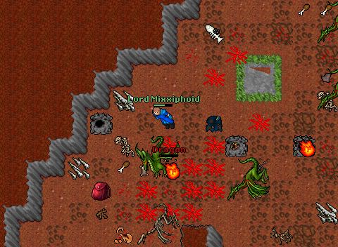 Venore dragon lair