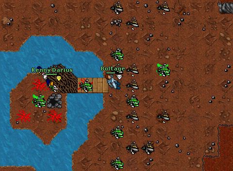 Botkilling 28 fev