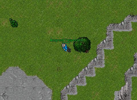 Inferna Pking