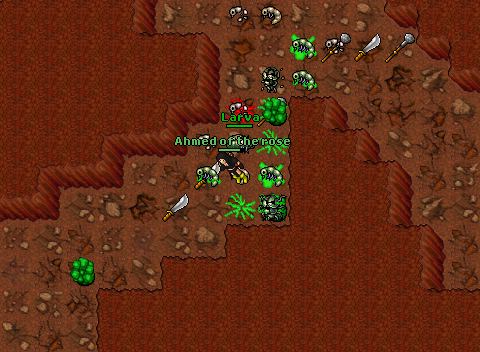 Demodras hunt