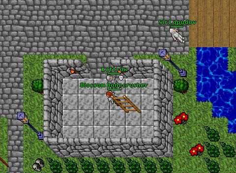 Hehe