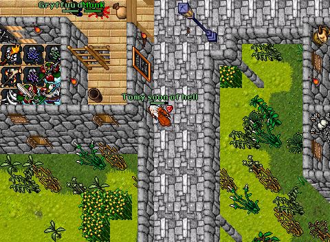 131rp