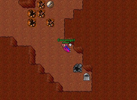 40 elder