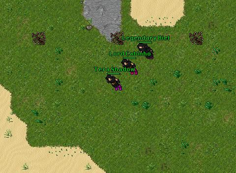 Desert quest