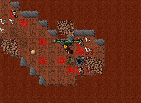 Crusader guardia