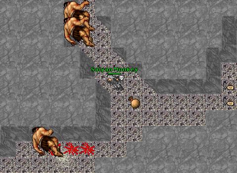 20 elder