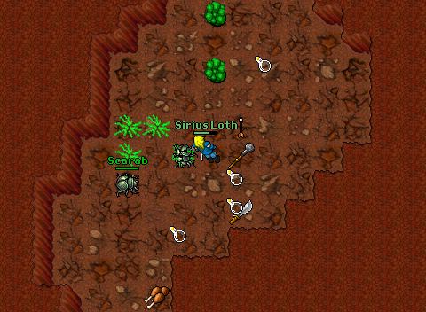 Noob sirius scarabs
