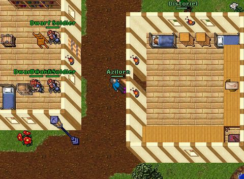 Dwarf war