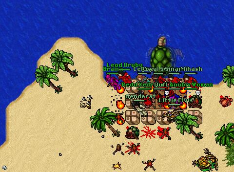 First.wobuganwithbrainn