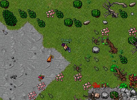Poh