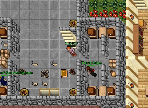 80 sorcerer Lucera