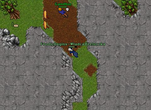 PK Frodo 43MS-596