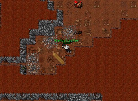 D029 D Guards solo