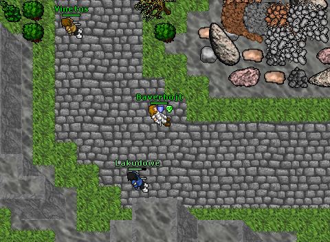 War Alli vs DS 02