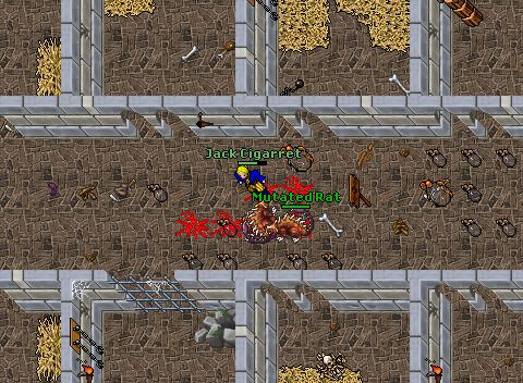 Arena