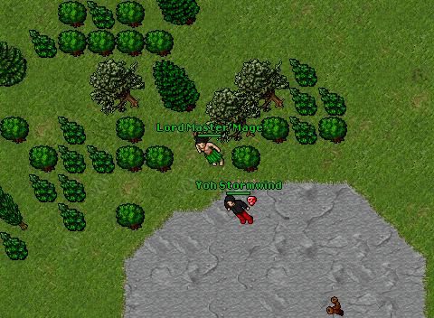 (Lmm)65RP