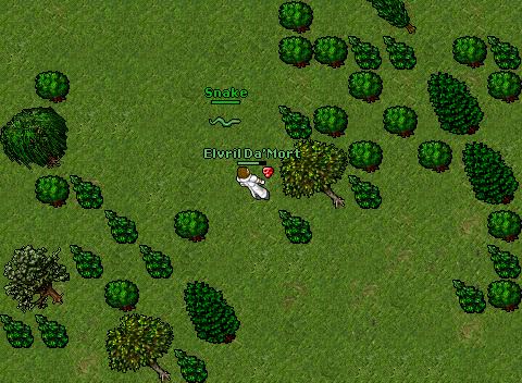 Elv gonna pk