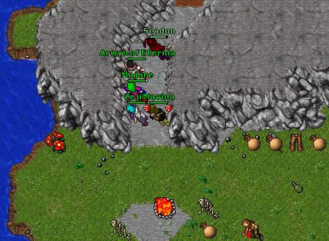 Mael Chio Chip 89RP