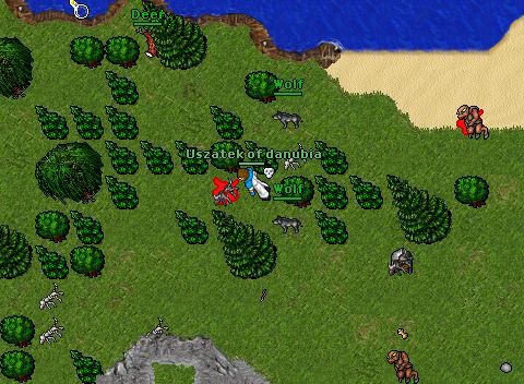 Uszaty pking