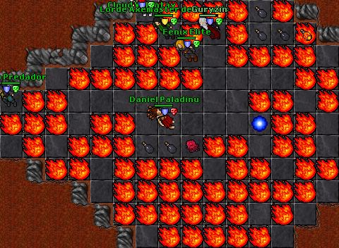132 paladin DHQ