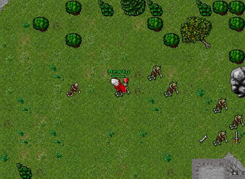 8 Iridia Arc vs Invi 6
