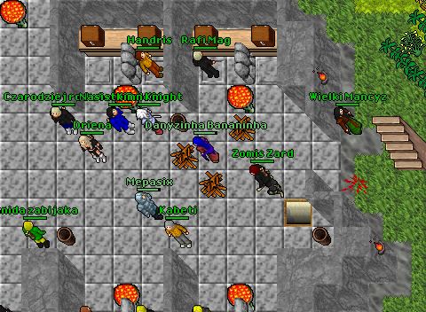 Hibernapk 74 Tibia 2