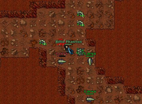 ED033 Scarabs -3