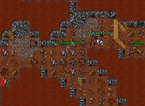 71 druidpkpk
