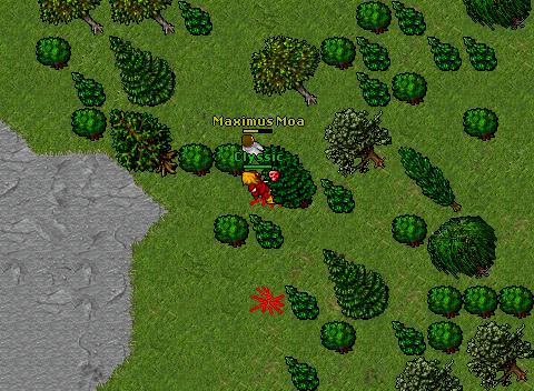 Indo atras do hutned