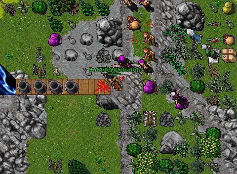 Danerawarvenore 3
