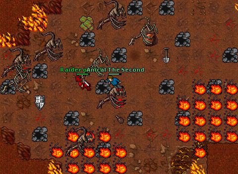 Anical jackalnov 21