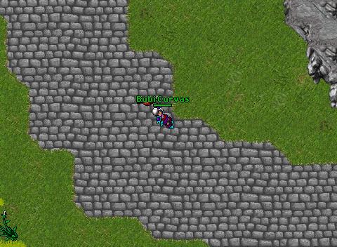 Shanera lvl 51k macroing