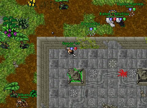 88rp aurea