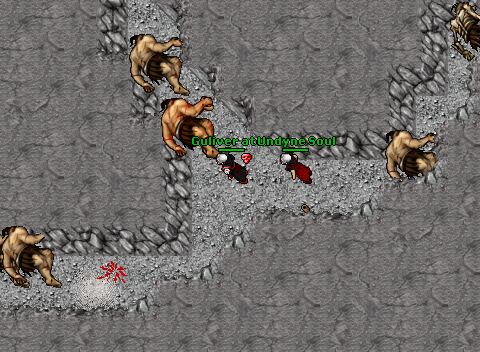 Knight of fantasy