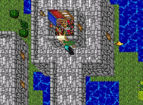 Sayko in Venore