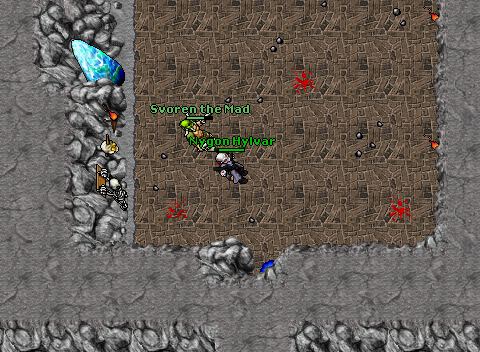 ED101 Arena 3