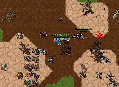 Ant islands
