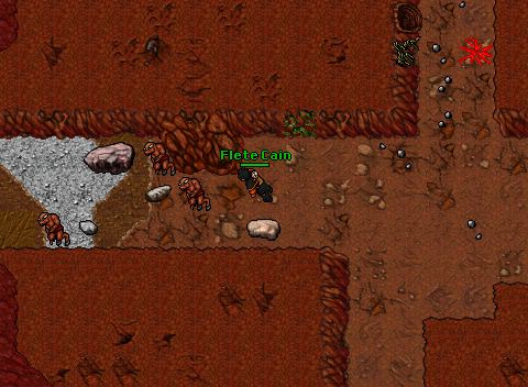 Hunt Level 14