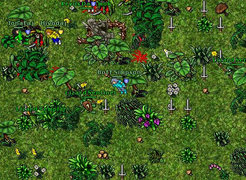 Lizard run quest