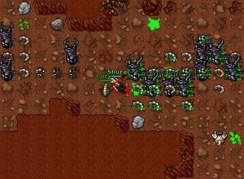 Anciente 100 khour
