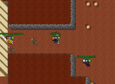 Fibulaquest