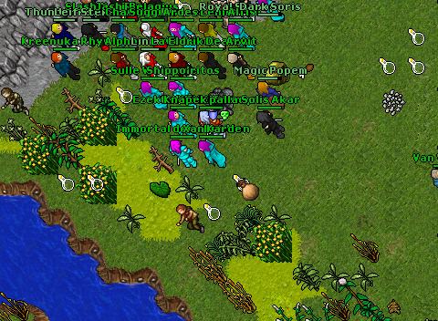 Healek died