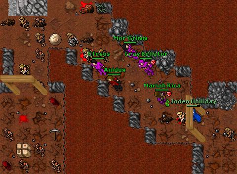 Maxxonek